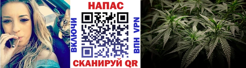 Шишки марихуана THC 21%  Купить  Протвино 